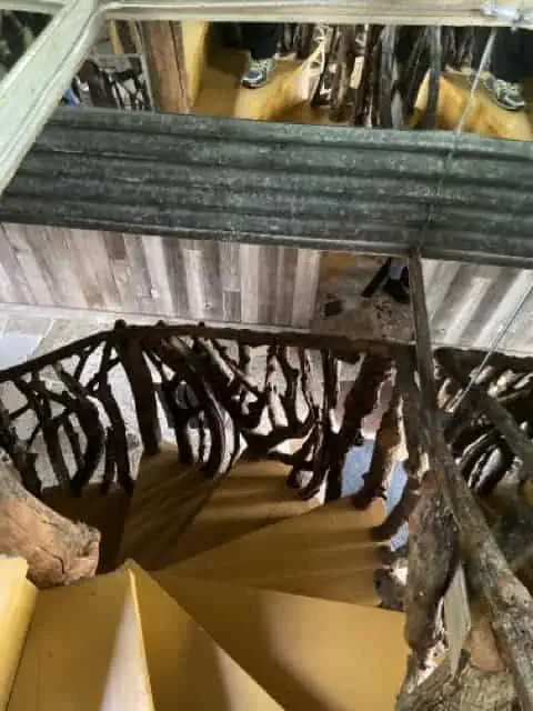 tree branches as stair railing