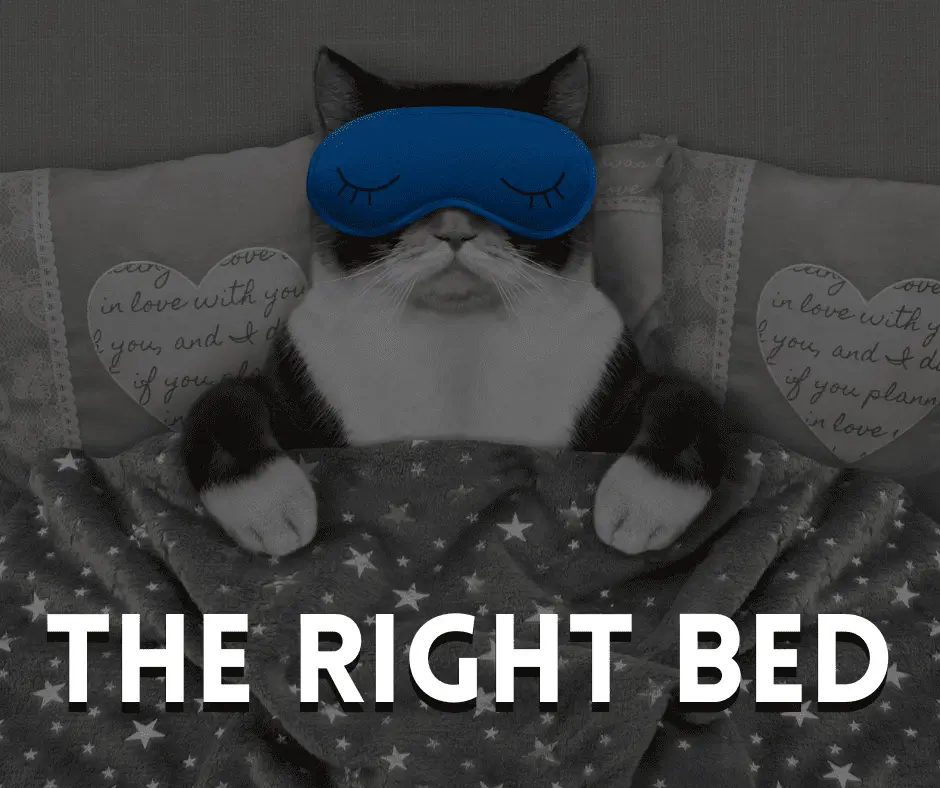 The Right Bed