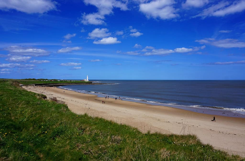 WHAT IS A TINY HOME COMMUNITY? A SIMPLE GUIDE TO HOW THEY WORK 2 beach